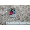 1998 Nagano Winter Olympics - IBM Sponsor Olympic Bobsled Pin