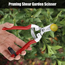 Garden Scissor,Stainless Steel Floral Scissors Fruit Tree Pruners with Safety Lock Design Gardening Pruning Shear Garden Pruner Tool for Pruning Flowers Fruit Trees Bonsai Grapes (Head up)