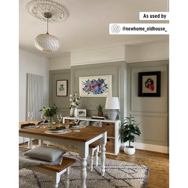 Annie Sloan Wall Paint (Cotswold Green, 4 Fl Oz Tester)