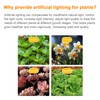 LED Growth Light Strips for Indoor Plants Pink-purple LEDs Grow