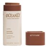 Oceanly Bronzer, Ebony 8.5g