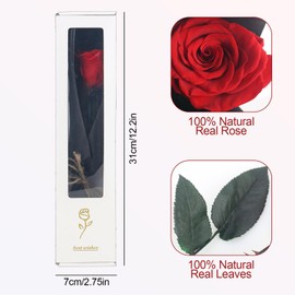 elthmpr Infinity Rose Pink on a Stem - Real Preserved Rose in Gift Box for Women on Your Birthday Anniversary Mother's Day