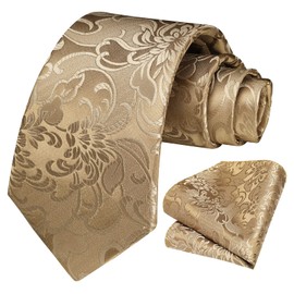 HISDERN Men's Tie Wedding Paisley Ties Handkerchief Flowers Elegant Classic Tie & Pocket Square Set, golden