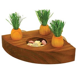Rosewood 19260 Boredom Breaker Carrot Toy 'n' Treat Holder for Small Animals, transparent