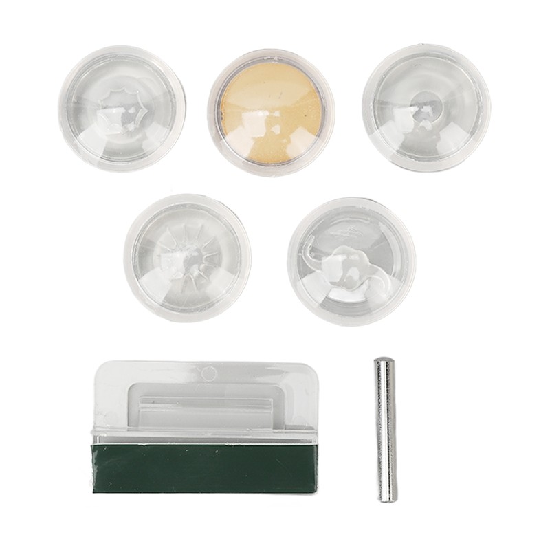 Enlarged Human Eye Anatomical Model Accurate Shows Optic Nerves Cornea