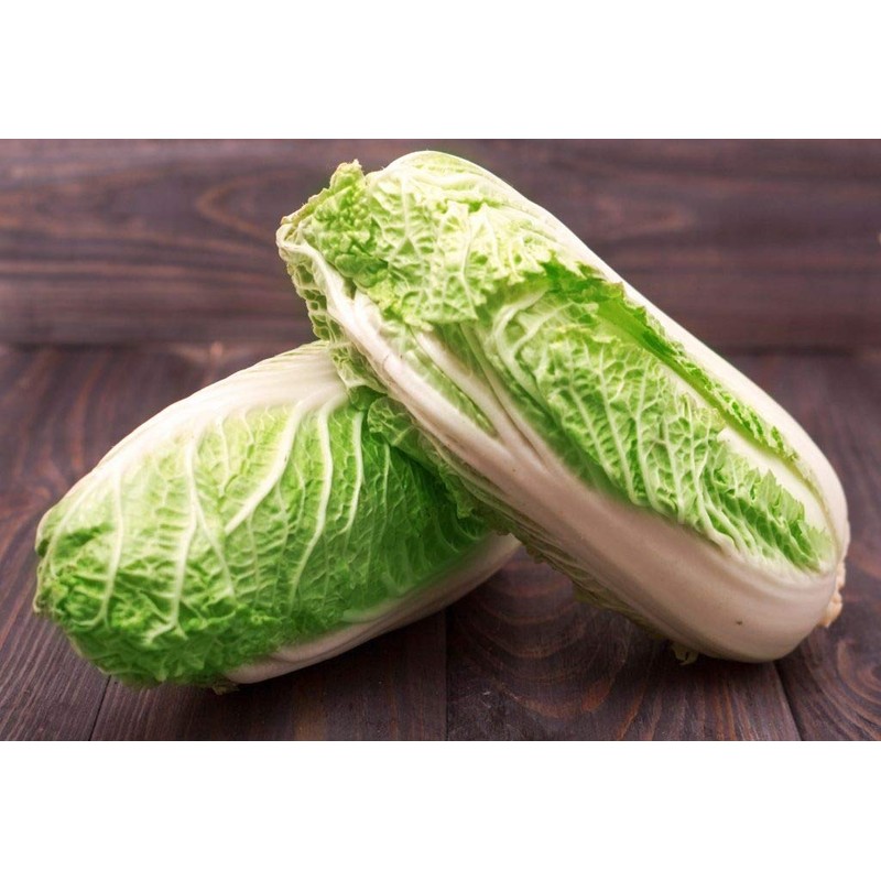 CEMEHA SEEDS - Seeds Napa Cabbage Peking Chinese Green Giant