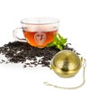 sourcing map 1 Pcs Tea Infuser Filter, Loose Tea Steeper,