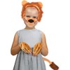 Fartoni Lion Costume Boy or Girl Lion Costumes with Tiara,