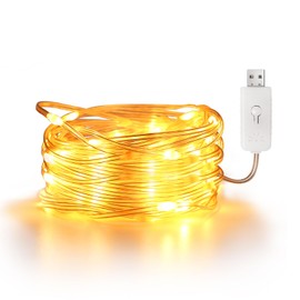 EXTRASTAR 100 LEDs PVC String Light,IP65 10M Warm White Fairy Light 8 Modes USB Powered, Indoor and Outdoor Use for Wedding and Christmas,1 Pack