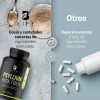 Fibra De Psyllium Husk De 240 Cápsulas Psyllium Husk B