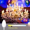 DIAMIAQ B11 LED Light Bulb Candelabra Light Bulbs Candle Bulbs