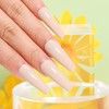 AIMEILI Hema Free Neutral Color Natural Gel Nail Polish Soak