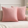 MIULEE Velvet Throw Pillow Covers 18x18 Inch, Pack of 2