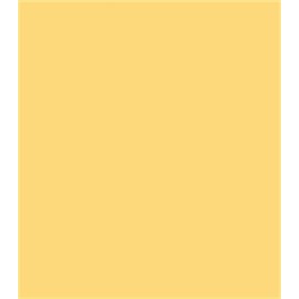 Coats Thread & Zippers F7222-083B All-Purpose Plastic Zipper, 22", Temple Gold