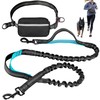 Hands Free Dog Leash with Waist Belt – No-Pull Bungee,