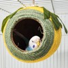 AIMALL Coconut Shell Bird Nest with Colourful Braided Rope and