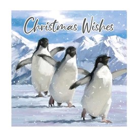 Eurowrap Pack of 12 Assorted Christmas Cards Xmas Arctic Animals Penguin Polar Bear, 2 Designs Merry Christmas and Christmas Wishes Eco Friendly Packaging 100% Recyclable