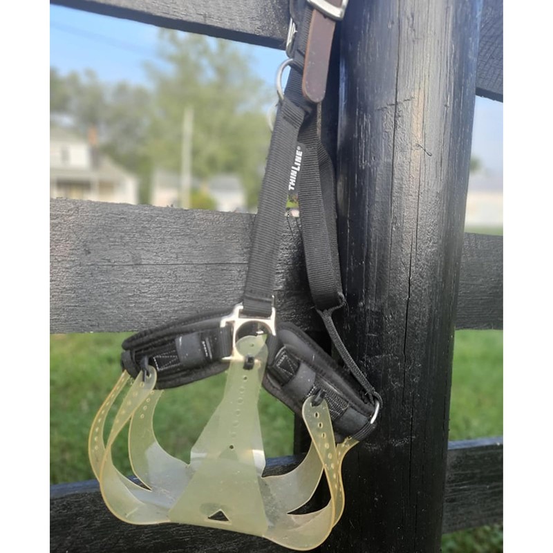 Thinline Turnout Halter for Use with Grazing Muzzle | Horse