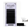 Arison Lashes Easy Fan Lashes, 0.07 DD Curl 8-15mix Eyelash