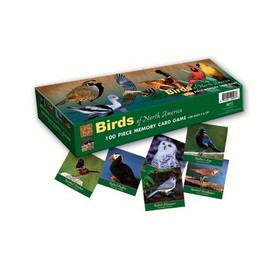 Impact Photographics IMP6MGM Memory Game BirdsNorthAmerica