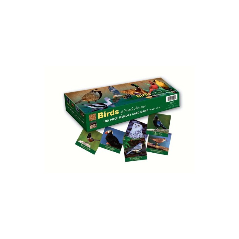 Impact Photographics IMP6MGM Memory Game BirdsNorthAmerica