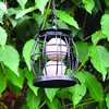 Natures Market BF043 Squirrel Resistant Suet Ball Feeder