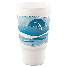 SOLO 32AJ20H Horizon Foam Cup, 32 oz, Pack of 400