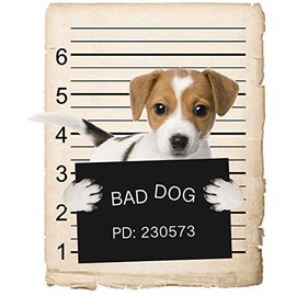 Russel Terrier Dog Mugshot Bad Dog Car Bumper Magnet, Magnetic for Refrigerator, Decorative Fridge, Office, Whiteboard, Kitchen, Locker Waterproof Decor, Family & Friends, 4x7 in
