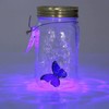 Butterfly Collection With LED Light - Animated Glass Jar Gift