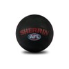 Essendon Bombers AFL Footy High Bounce Ball
