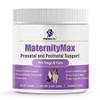 PregnaPaws Dog Prenatal Vitamins & Cat Pregnancy Supplements | All-in-One for Pregnant & Nursing Dogs | Whelping Supplies with Folic Acid, Probiotics, Joint Support | 90 Soft Chews | Salmon Flavor