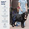 Balto Jump CCL Brace – Dog Knee Brace with Aluminum