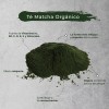 Té Matcha 100 Puro Premium Orgánico 100 Gramos