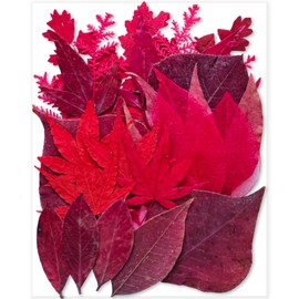 Red Dried Pressed Leaf Leaves, YouthBro 30PCS Real Nature Plant Herbarium Set for DIY Jewelry Candle Soap Art Craft Decors,Red