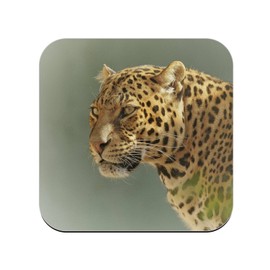 Untersetzer aus Kork – Nahaufnahme von Leopard a the Affut Wildlife – 6 Stück (95 x 95 mm)