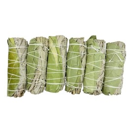 Premium White Sage and Eucalyptus Smudge Sticks – Set of Six 4-Inch Handcrafted Bundles for Energy Cleansing, Relaxation, and Mindful Living