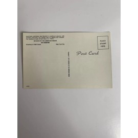 Eastern Chippewa Matriarch Museum of American Indian Heye Foundation - Postcard