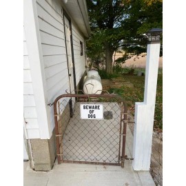 NO NONSENSE SIGNS "BEWARE OF DOG" Warning Sign - Heavy Duty Aluminum w/Simple, Easy to Read Text