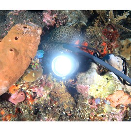 SecurityIng Dive Torch, 1000 Lumens Scuba Diving Torch, 9 Degrees Narrow-Angle Beam 150M Underwater Torch, IP68 Waterproof Diving Safety Light Night Dive Torch for Diving Fishing Caving Spearfishing