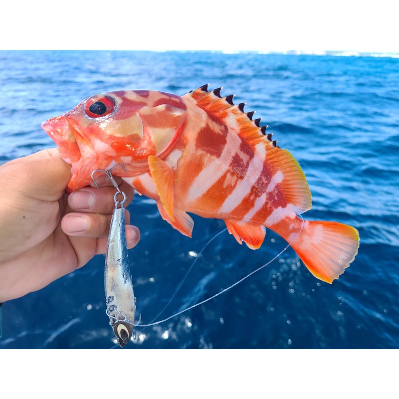 NatureBoys Tetsuwan VIB Zn 2.1 oz (60 g)