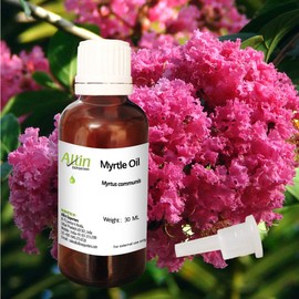 Allin Exporters Myrtle Oil - 100% Pure, Natural & Undiluted - 30 ML
