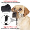 Dog Head Collar, No Pull Training Tool for Dogs on