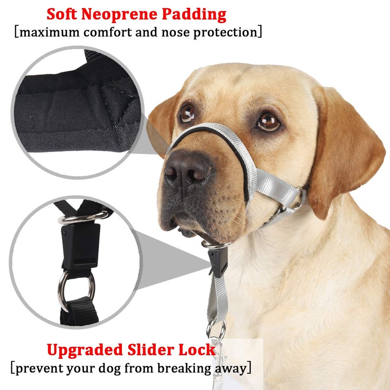 Dog Head Collar, No Pull Training Tool for Dogs on
