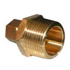 LASCO 17-6839 3/8-Inch Compression by 3/4-Inch Male Pipe Thread Brass