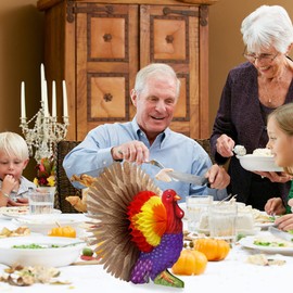 TURNMEON 3 Pieces 12 Inch Thanksgiving Table Decorations Tissue Turkey Honeycomb Decor Thanksgiving Table Centerpiece Thanksgiving Decorations Home Indoor Party Supplies Autumn Harvest