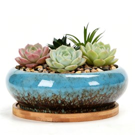 Succulent Pots, 7.3 Inch, Round Large Shallow Flower Plant Pots