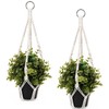 2 Pcs Small Macrame Plant Hangers, Small Plant Hanger