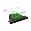 ABACUSSPIELE 03114 Mini Game Dice Pyramid Green