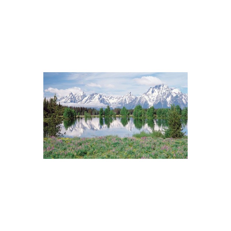 Biggies- Window Well Scenes Wall Art- Mountain Flower, 60" x