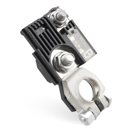 Battery Fusible Fuselink Fuse, w/Positive Battery Terminal 180 Amp Single Pole Fuselink with M8 Nut and The M6 Nut for Fuse Connection, Replace 18790-01319 1879001319, Fuse B